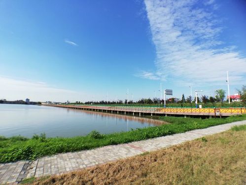 大美奎湖湿地自然公园,生态建设示范公园!