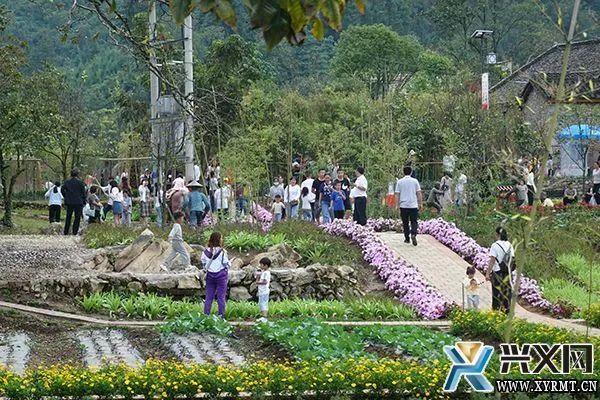 打柴山:丰富旅游新业态 乡村旅游受青睐【兴义融媒】