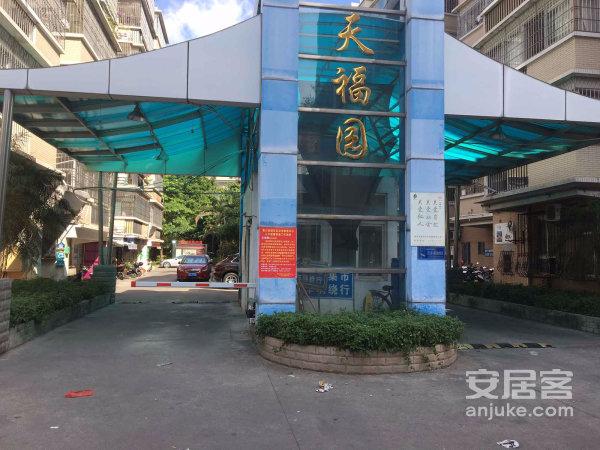 天福园,九龙大道-漳州天福园二手房,租房-漳州安居客