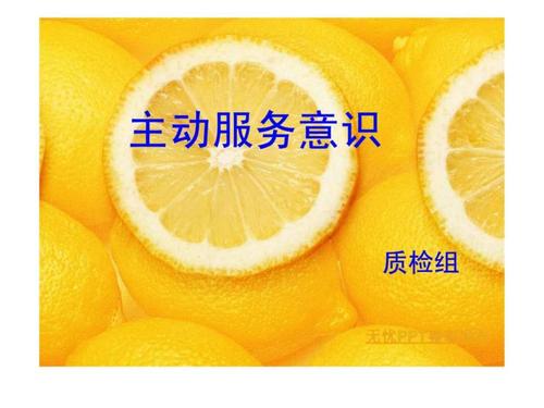 主动服务意识1569194418.ppt