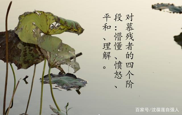 什么是慕残者,我对慕残者的理解,慕残者是残疾人的