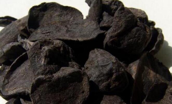 中药黑附子的功效与作用.