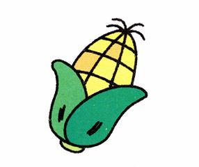 画画玉米的简笔画步骤教程简单玉米的画法卡通玉米棒怎么画简笔画图片