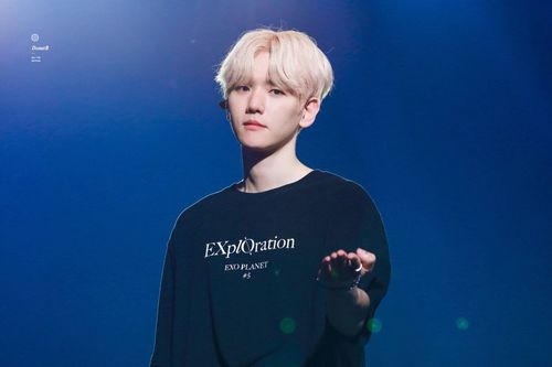 边伯贤 - 堆糖,美图壁纸兴趣社区