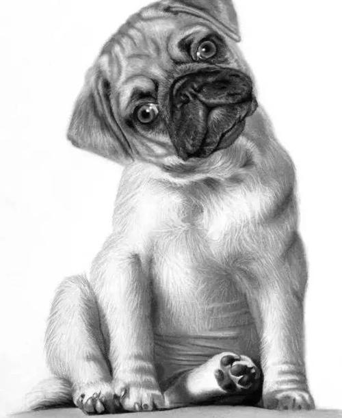 关于素描的十大真相,你竟然不知道?