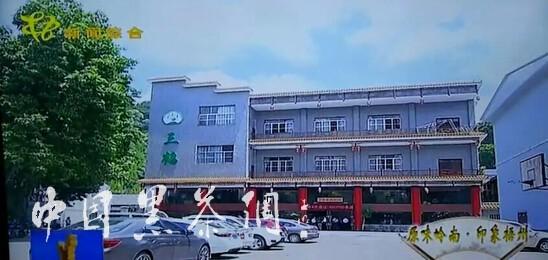 8"与梧州茶厂_广西六堡茶_资讯_中国黑茶网