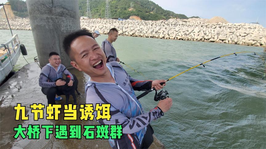 渔戈兄弟2020相关用户