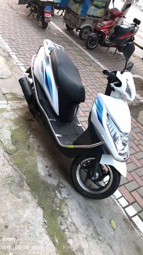 二手摩托车五羊本田 御鲨 125