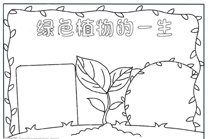绿色植物的一生手抄报
