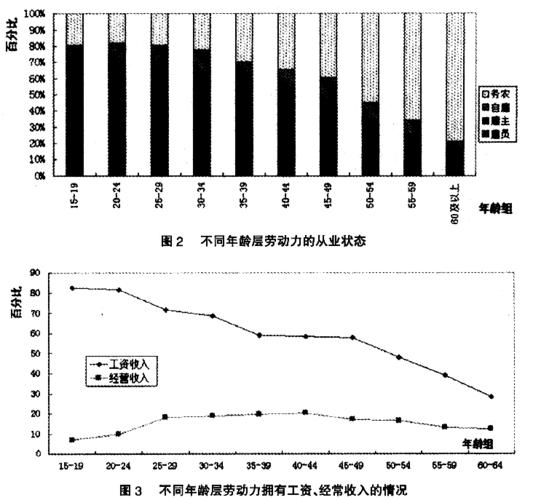 年龄分层视角下的中国劳动力