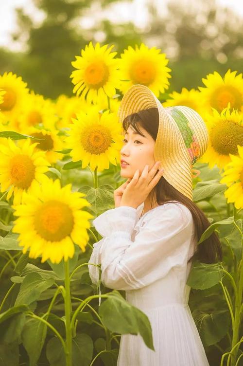 人像拍摄技巧这个夏天和向日葵留个美照