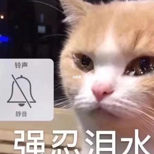 一起床就一天倒霉…._出差_朋友圈_保险_情感_家庭