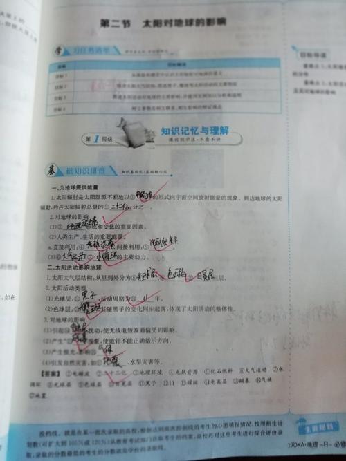 韩金洋作业