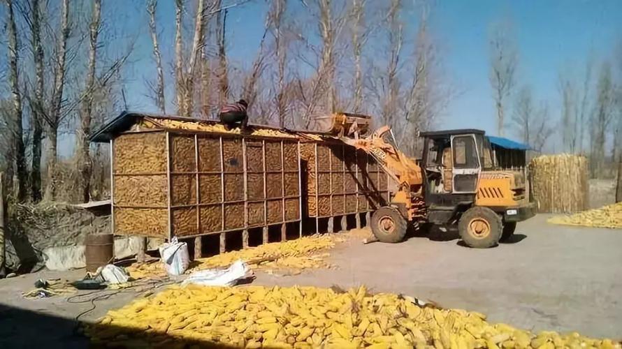 玉米价格又成热点,农民什么时候卖粮更合适?