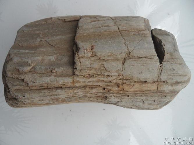 木化石原石,硅化木(宝贝号zm110m)