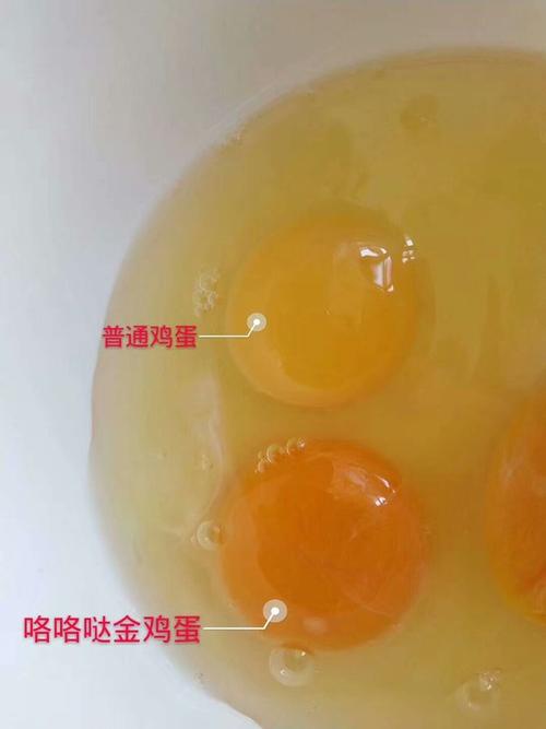 送礼员工福利大连团购咯咯哒金鸡蛋5斤鸡蛋票1张 20张