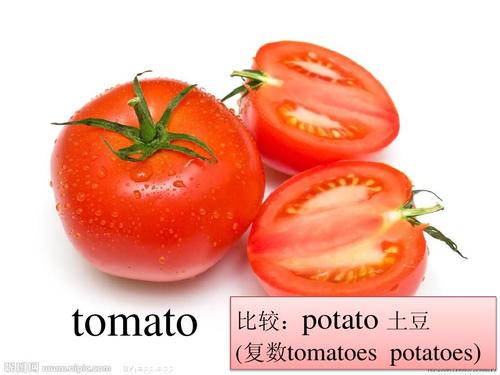 tomato     :potato 土豆 (复数tomatoes potatoes)