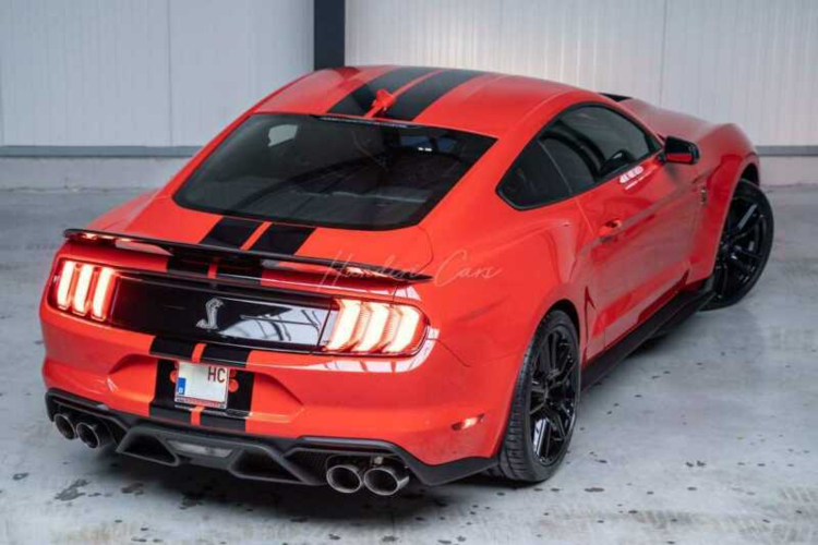 福特野马谢尔比gt500,看见蝰蛇标,就知道不简单了