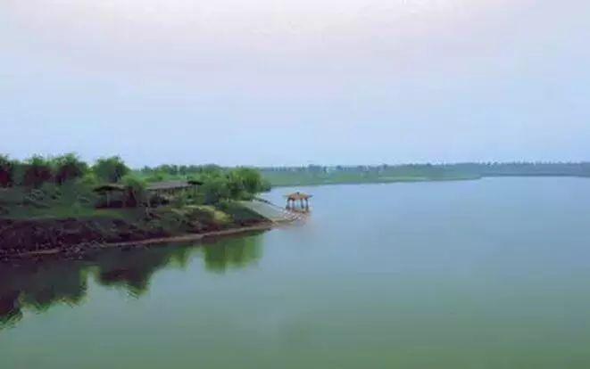 4.惠济区黄河富景生态世界