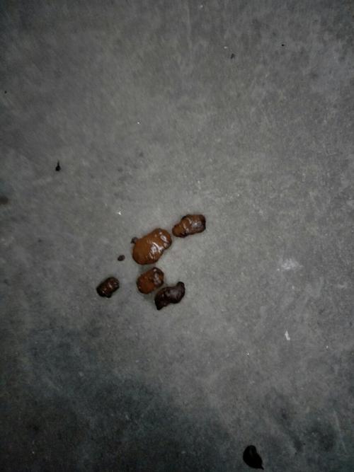 细小第八天拉的便便是这样的好转了吗