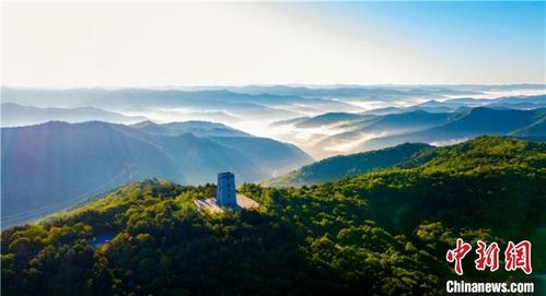 中新网:甘肃庆阳"再造一个子午岭" :黄土塬变身"绿土地"