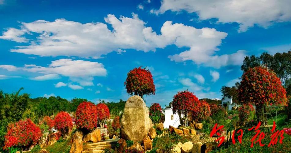 开园马岭观花植物园预约方式看这