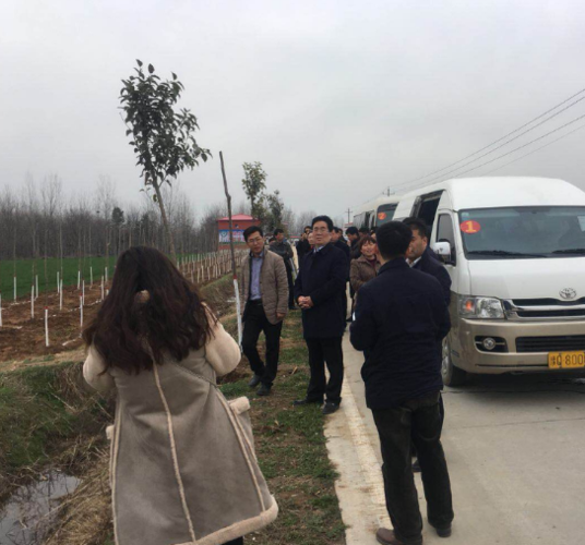 县长彭广峰一行到任店镇观摩创森工作_确山县人民政府门户网站