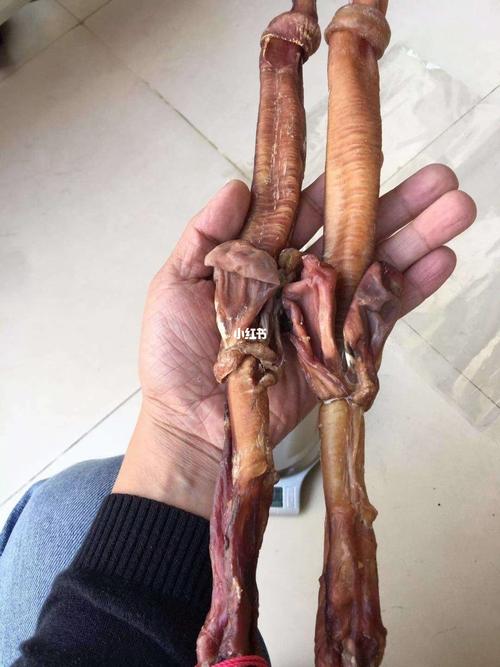 梅花鹿鹿鞭_养生_食疗_医疗健康_养生食疗