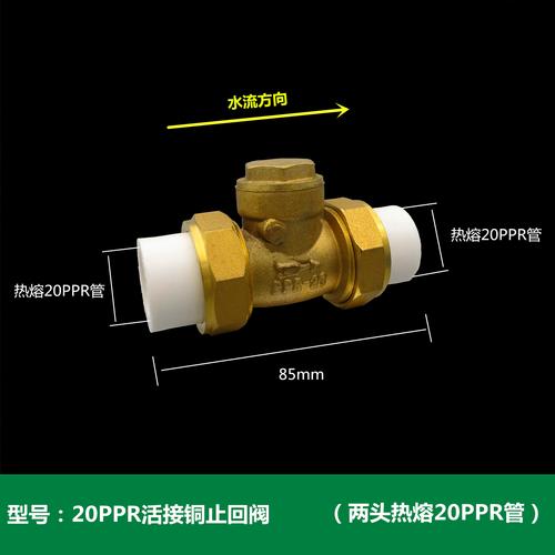 止回阀ppr自来水4分马桶水泵用水用管道水管pe内外丝单向阀 20ppr活接