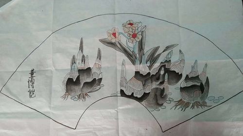 蔚县桃花镇的女画家——徐少华的艺术生涯和绘画展示