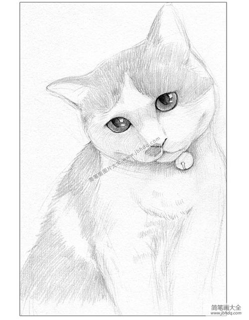 零基础学素描:猫咪素描步骤详解_简笔画教案-简笔画