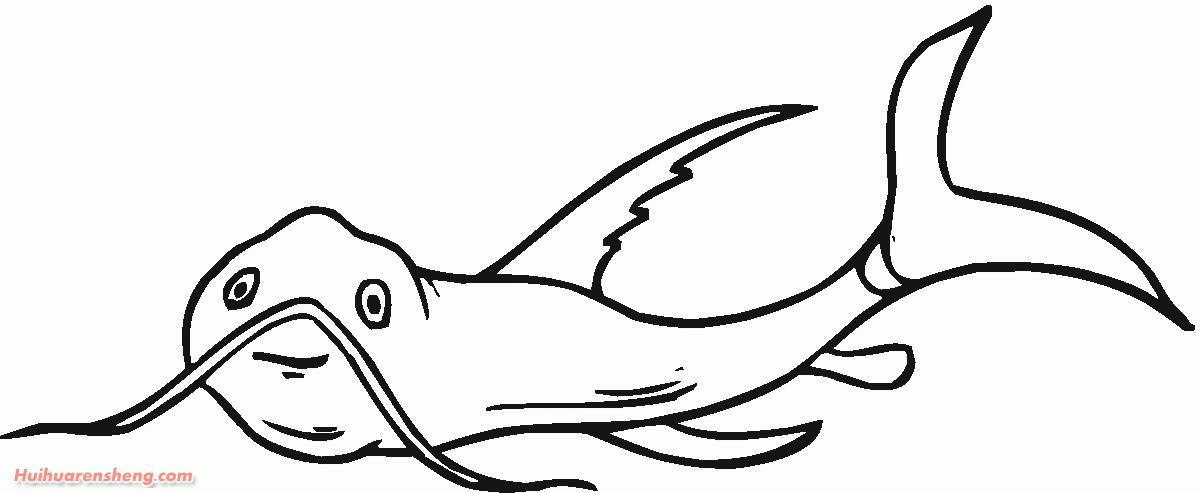 鲶鱼简笔画法大全(9)