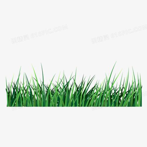 绿草矢量