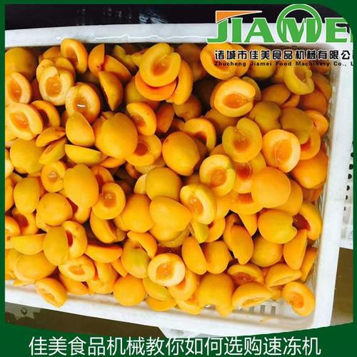 供应信息 诸城市佳美食品机械有限公司 jm龙虾速冻机详细参数 中.
