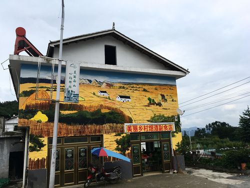 美丽乡村乡村振兴文化墙墙绘