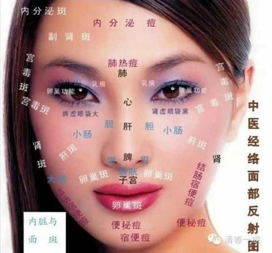 判断妇科病可以看脸上妇科反射区,有没有长斑点