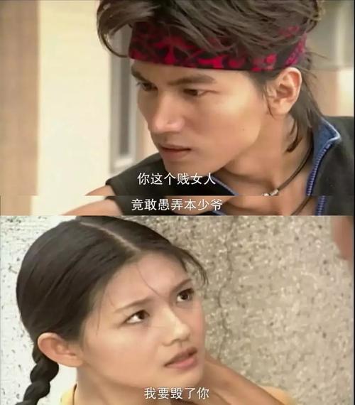 台词,17年后,《流星花园》再次重播带领多少人走上看台湾偶像剧的不
