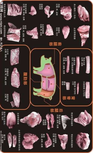 猪牛羊分割图