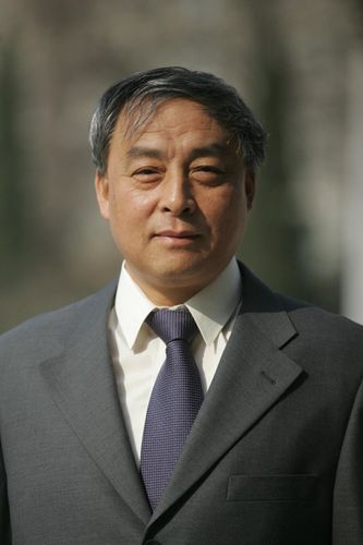 王京的工作经历