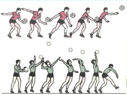 排球基本知识和基本规则