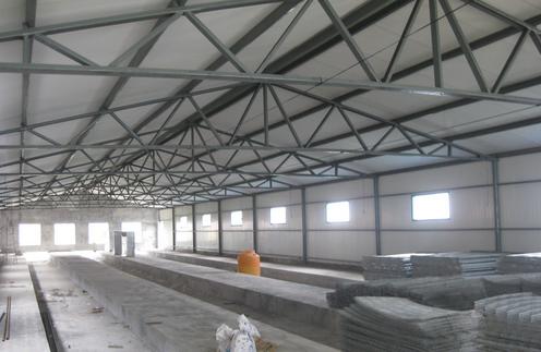 建立现代化养鸡场需要多少钱,养鸡场建设注意事项有哪些