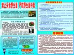 禁止采食野生菌宣传单