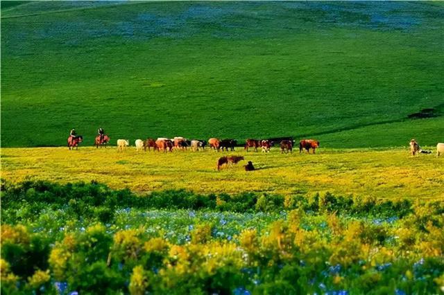 带您走进油画塔城——额敏篇(上)