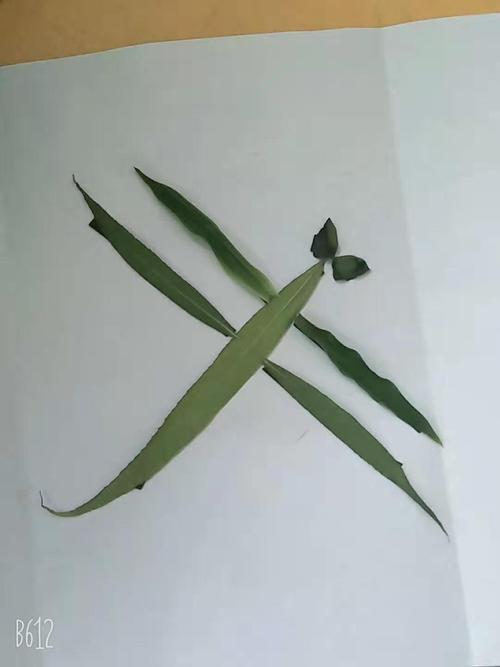 手工制作的树叶拼贴画,树叶粘贴画借美术之灵,创自然之美,可以发展小