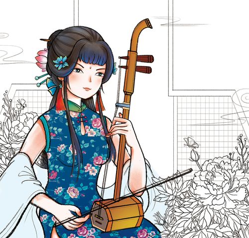 二胡封面