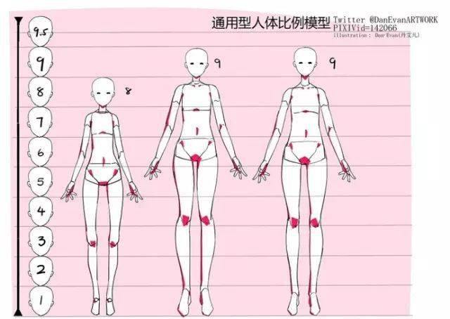 详细教程最全的女性人体比例模型画妹子必备快来