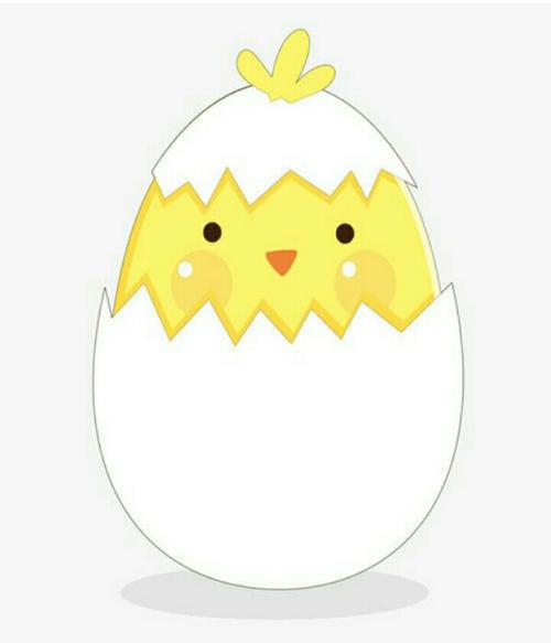 绘画班——《小鸡破壳出来啦》