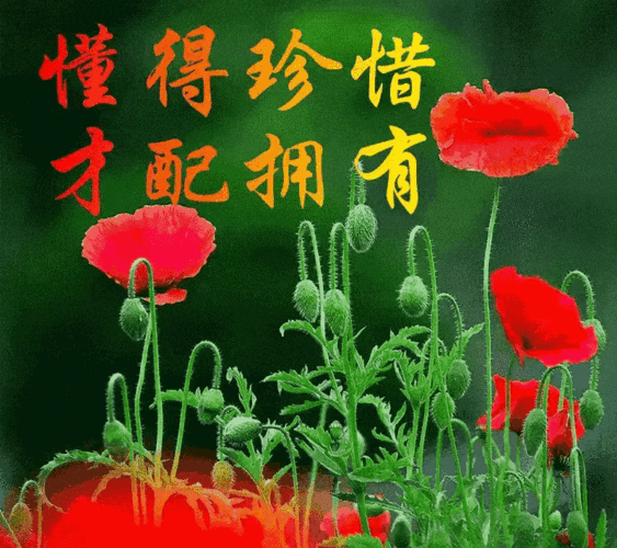 1105散文:珍惜遇见;懂得珍惜,才配拥有!