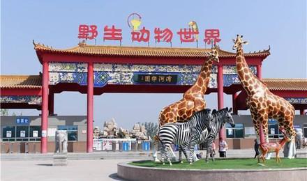 聊城滨河野生动物世界门票