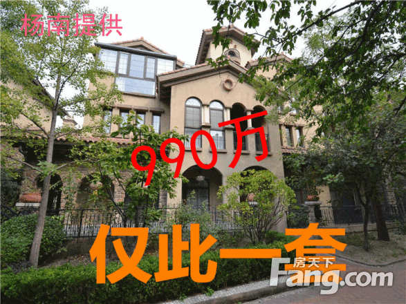 金科帕提欧 联排别墅 使用面积520平990万 私家电梯入户